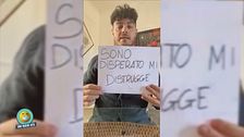 Schegge di quarantena