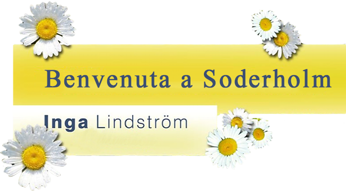Inga Lindstrom - Benvenuta a Soderholm - Film Mediaset Infinity