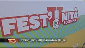 Alleanze da referendum