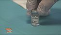 Vaccino, come si organizza l'Italia