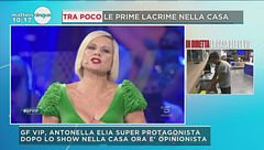 GF Vip, Antonella Elia super protagonista
