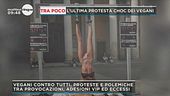 Vegani contro tutti
