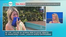 GF Vip: l'abbandono di Flavia Vento