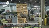 Ragazzi italiani fannulloni?