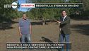 Reddito, la storia di Orazio