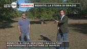Reddito, la storia di Orazio