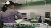 Una casalinga in ogni Municipio