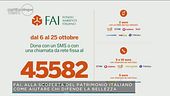FAI, alla scoperta del patrimonio italiano