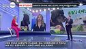 Dieta vegana anche per i cani