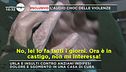 Violenze in una casa di riposo