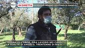 Agricoltura, boom di giovani laureati