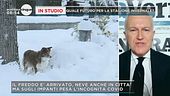 Il futuro incerto della stagione sciistica
