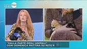 "Dalla parte degli animali"