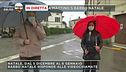 Quarto, un paese e tre comuni