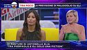 GF Vip: Elisabetta e Pierpaolo tra critiche e entusiasmi