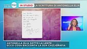 GF Vip: la scrittura di Antonella Elia