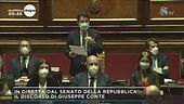 In diretta dal Senato della Repubblica