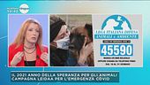 Il 2021 anno della speranza per gli animali