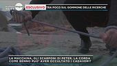 Caso Neumair: la verità sui corpi