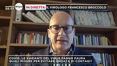 Varianti Covid, il virologo Francesco Broccolo