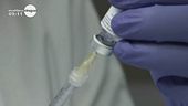 Vaccini: verso un modello all'inglese