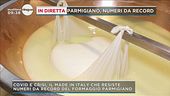 Parmigiano, numeri da record