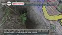 Esclusivo in diretta la fossa per seppellire Ilenia