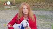 Dalla parte degli animali