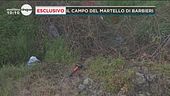 Ilenia Fabbri: il campo del martello di Barbieri