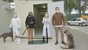 In diretta il fiuto dei cani contro il Covid