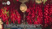 Crisi campi peperoncini