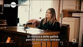 L'interrogatorio di Jessica Pulizzi