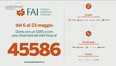 Il Fai e l'impegno per i monumenti italiani