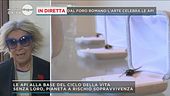 La giornata mondiale delle api