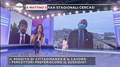 Reddito di cittadinanza e lavoratori stagionali