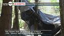 Aggiornamenti sulla tragedia di Stresa