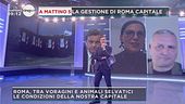 La gestione di Roma Capitale
