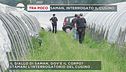 Saman, interrogato il cugino