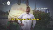 L'intervista telefonica al padre di Saman