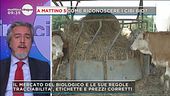 Come riconoscere i cibi bio? Tracciabilità, etichette e prezzi corretti