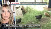 Ritorno alla natura, quali ragioni?