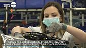"Bonus per imprenditrici è discriminante"