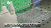 Covid: variante Delta in Italia, focolai sparsi