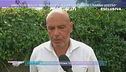 Omicidio Willy: "Mio figlio era con lui quando l'hanno ucciso"