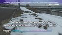 Coppia scomparsa - Parla la zia di Benno