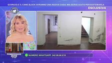 Giorgio e il cane Black avranno una nuova casa. - Serve aiuto per sistemarla