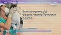 Neonato abbandonato - Parla la mamma