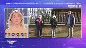 Vive accumulando oggetti tra gatti e sporcizia - Le ultimissime
