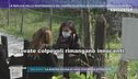 La replica del responsabile del centro olistico in cui hanno operato Roberta