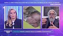 Denise Pipitone: la testimonianza del carrozziere